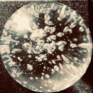 Conversations avec Dr Deumié (3)